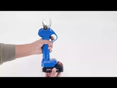 Auston AES20-3 pemangkas