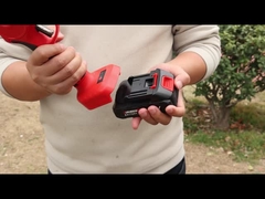 Auston AES20-4 Pruner