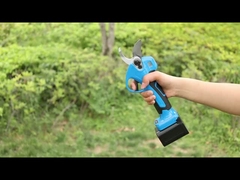 Auston AES30-3 pemangkas