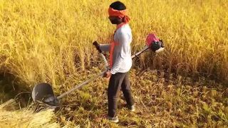 Pemotong Kuas Bensin dan Alat Berkebun Semua dalam Satu