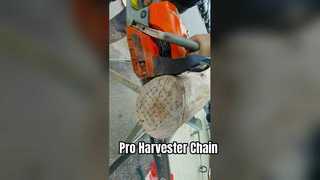 Rantai Gergaji Pro Harvester Kualitas UE AS